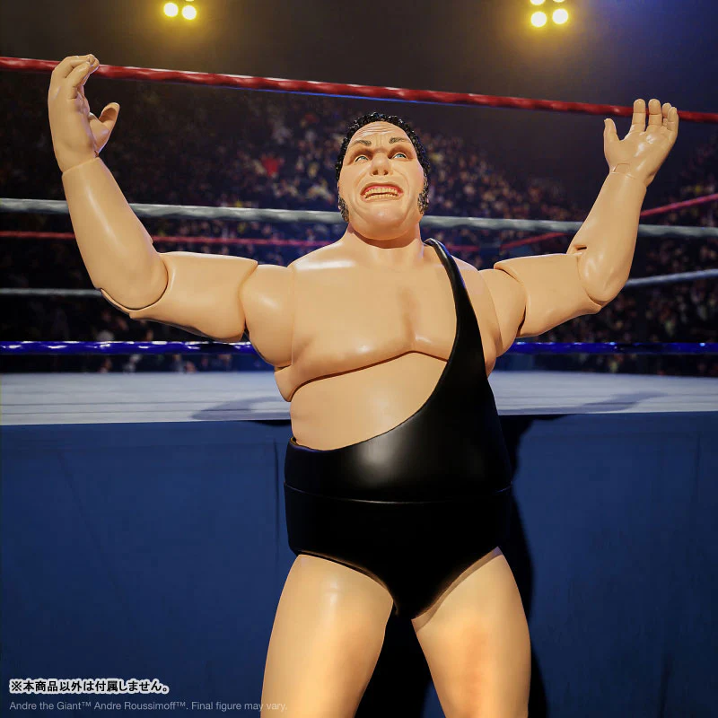 Andre the Giant Ultimate 8 Inch Action Figure ver.3 - Image 6