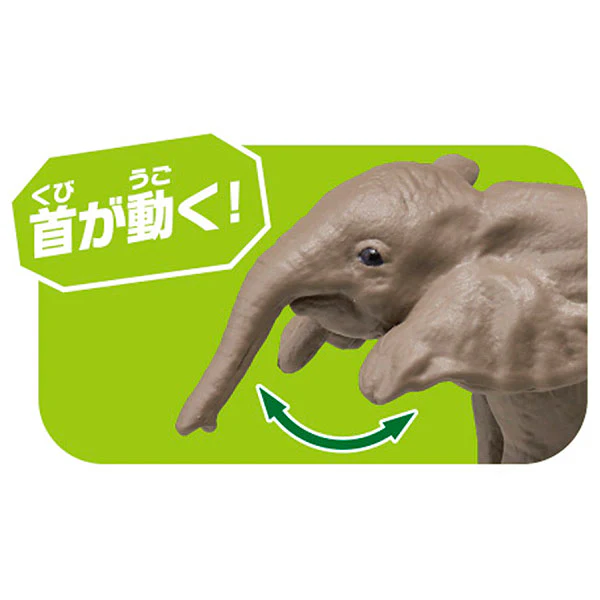 Ania AC-02 Elephant (Child) - Image 4