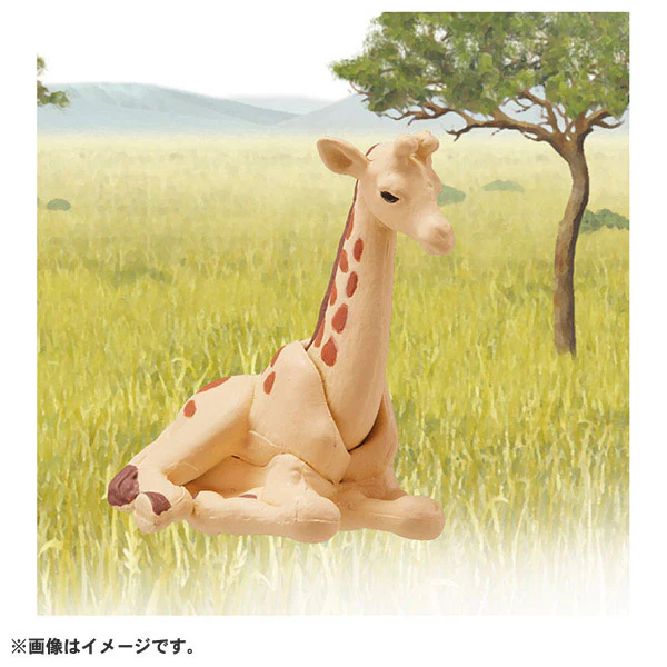 Ania AC-04 Giraffe (Child) - Image 3