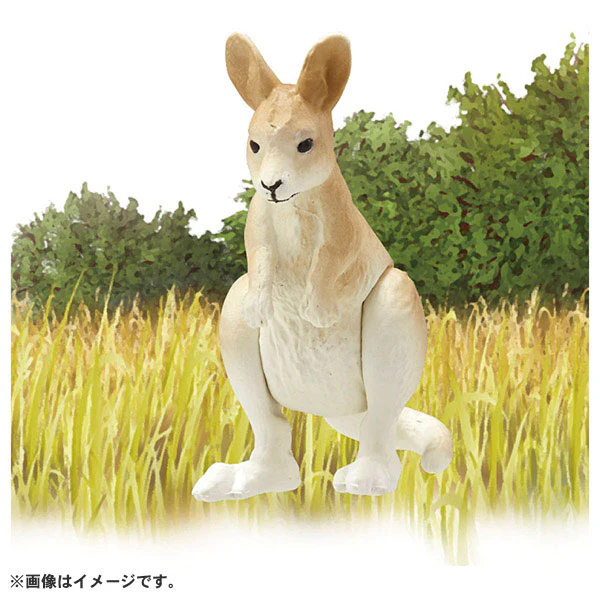 Ania AC-05 Kangaroo (Child) - Image 4