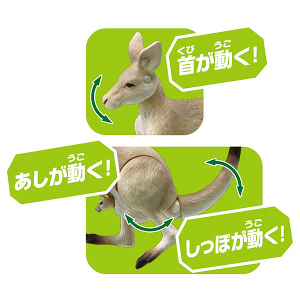 Ania AS-21 Giant Kangaroo - Image 3