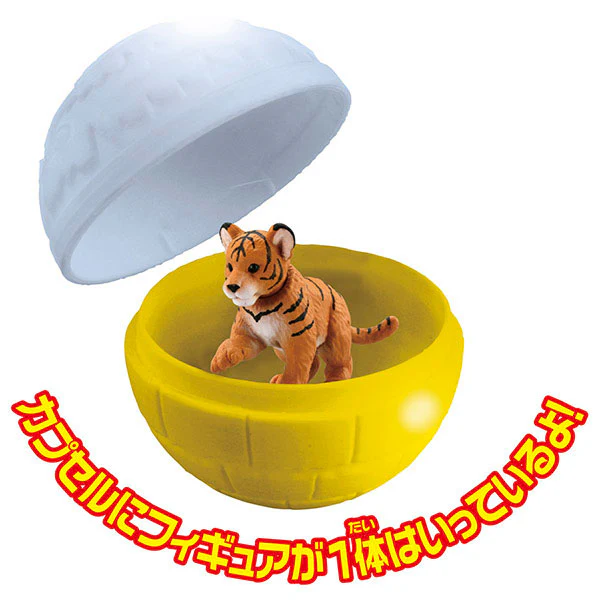 Ania Gacha and Korokoro Capsule 2 12Pack BOX