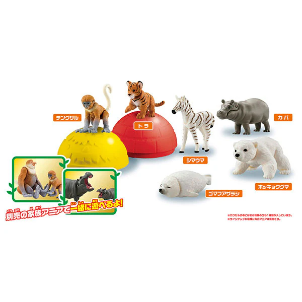 Ania Gacha and Korokoro Capsule 2 12Pack BOX - Image 4