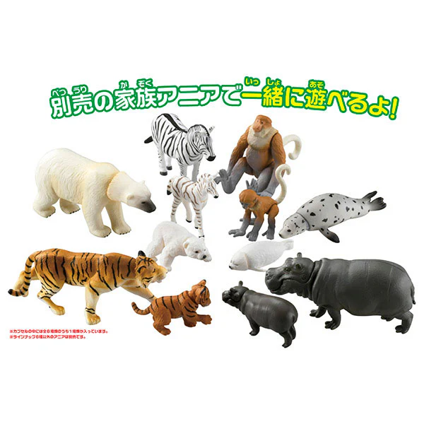 Ania Gacha and Korokoro Capsule 2 12Pack BOX - Image 6