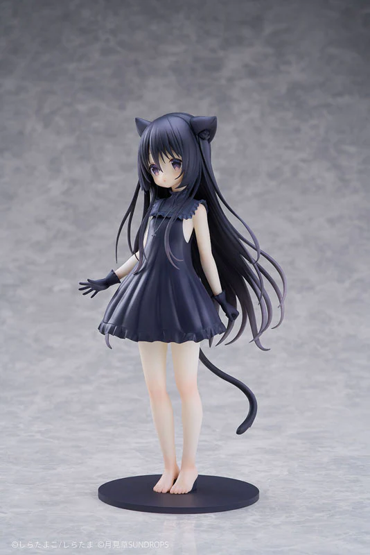 Hoshizora Tetsudou to Shiro no Tabi - Noir - 1/7 (Sundrops, Tokyo Figure) - Image 5