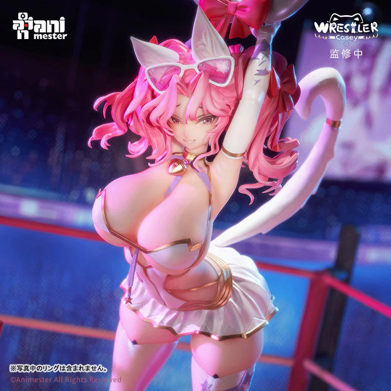 Original - NyanNyan Girl Wrestler Casey - 1/6 (AniMester) - Image 3