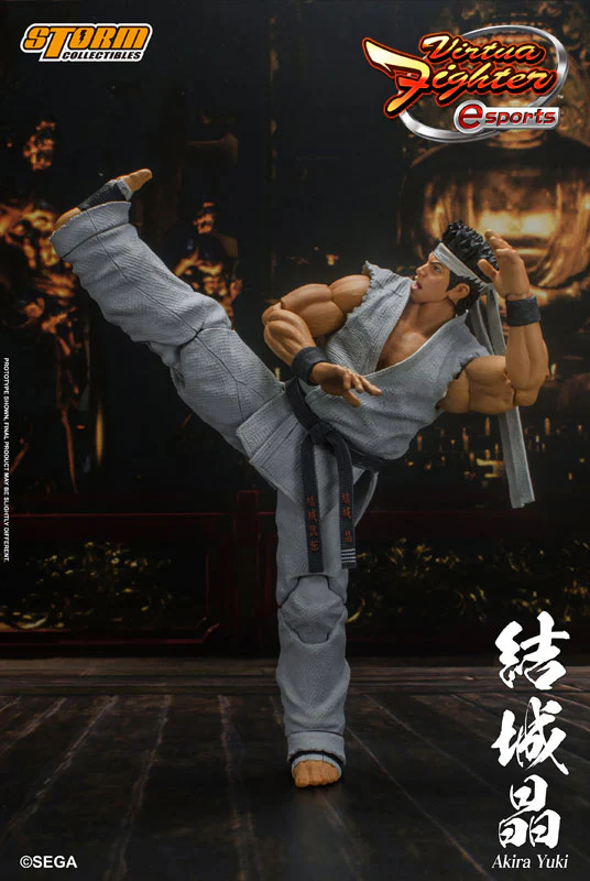 Virtua Fighter eSports Action Figure Akira Yuki - Image 11