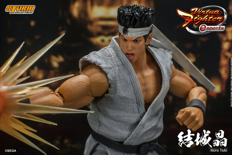 Virtua Fighter eSports Action Figure Akira Yuki - Image 3