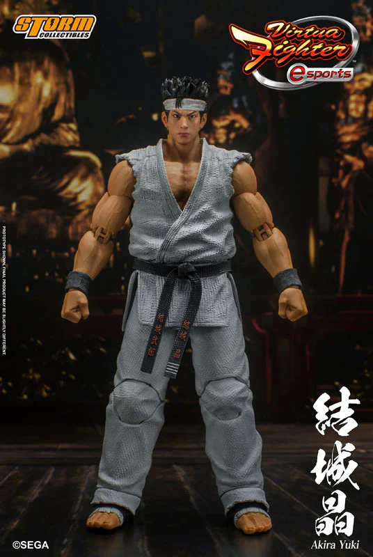 Virtua Fighter eSports Action Figure Akira Yuki - Image 6