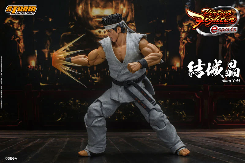 Virtua Fighter eSports Action Figure Akira Yuki - Image 7