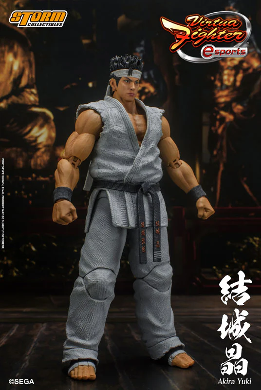 Virtua Fighter eSports Action Figure Akira Yuki - Image 8